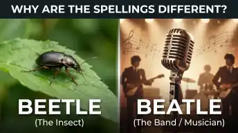 Why Are the Spellings Different?